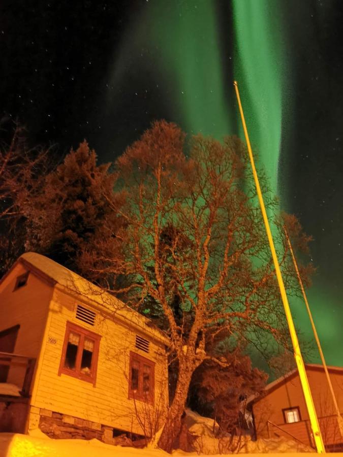 Senja Skaland Vila Melkarhola Exterior foto
