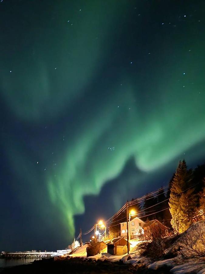 Senja Skaland Vila Melkarhola Exterior foto